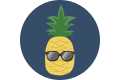 Travelinsightpedia logo